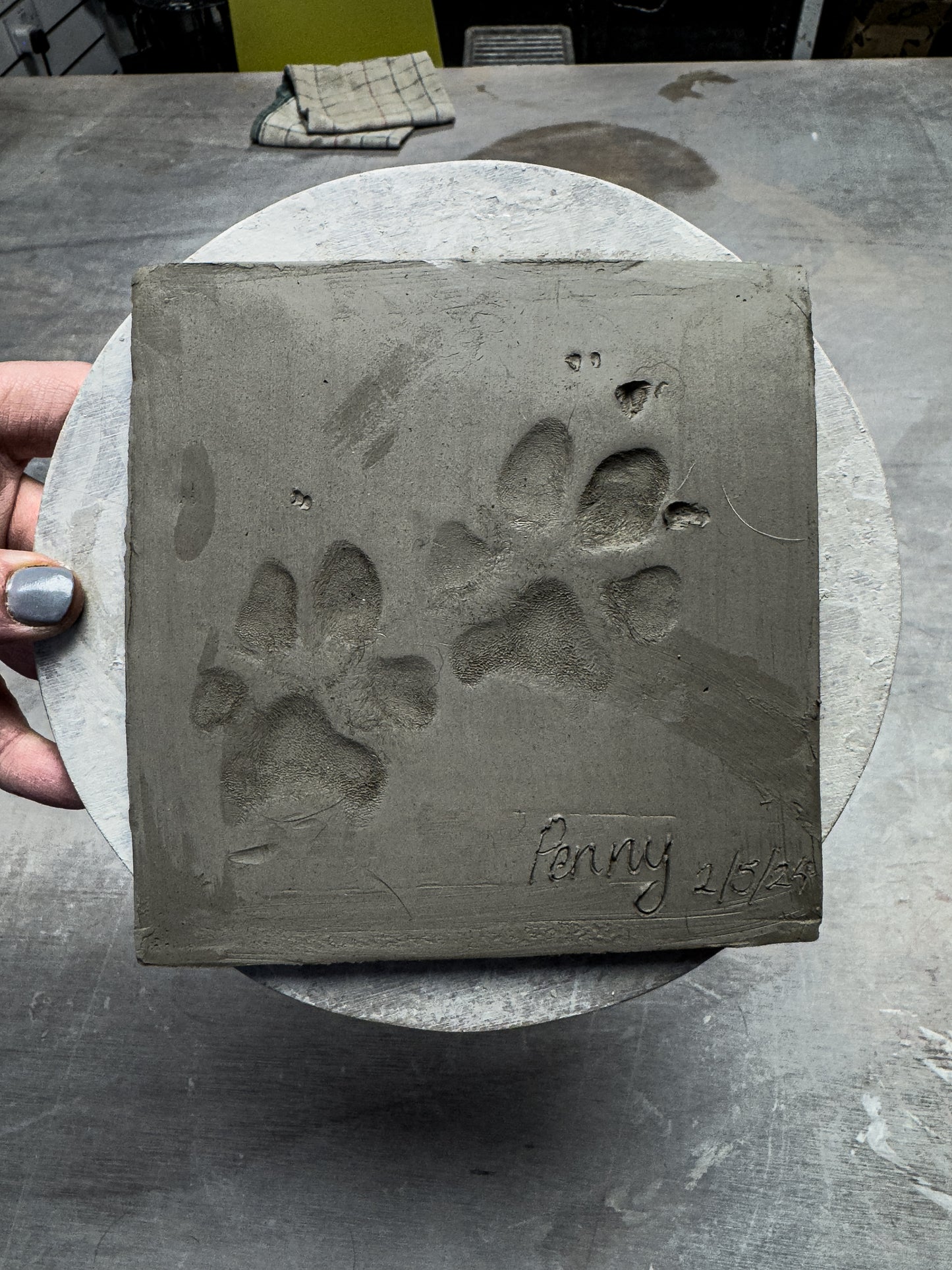 Dog Paw Prints in Clay